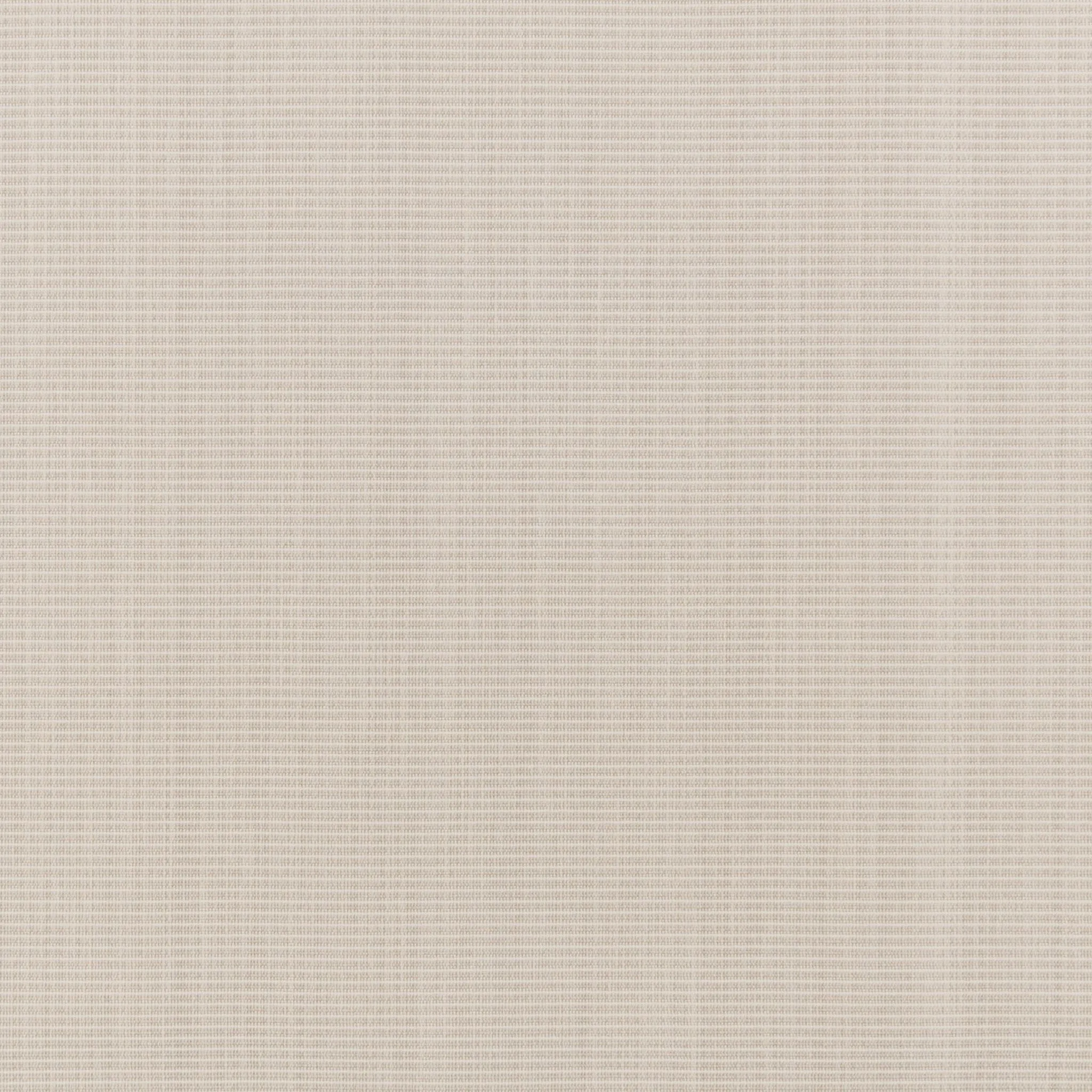 Prewitt Velvet Carpet