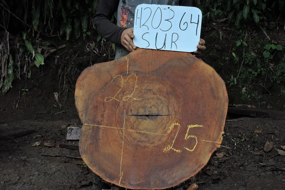 Slab LH20364SUR